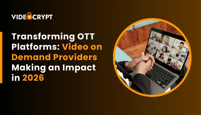 Video-on-Demand-Providers